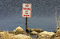 No parking sign in the water